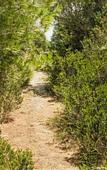 Туры в отель Hotel Menorca Experimental