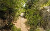 Туры в отель Hotel Menorca Experimental