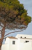 Туры в отель Hotel Menorca Experimental