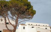 Туры в отель Hotel Menorca Experimental