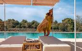 Туры в отель Hotel Menorca Experimental