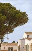 Туры в отель Hotel Menorca Experimental