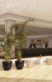 Туры в отель Palladium Hotel Menorca