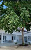 Туры в отель Cebu R Resort Tabuelan