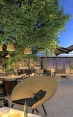 Туры в отель The Knoll Hotel Napa Valley, Tapestry Collection by Hilton
