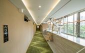 Туры в отель Qingshe Hotel