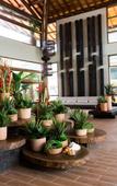 Туры в отель Samoa Beach Resort