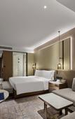 Туры в отель DoubleTree by Hilton Qidong