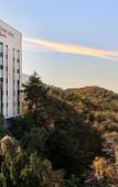Туры в отель Brown-dot Hotel Signature
