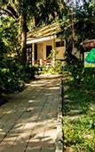 Туры в отель Lisland Rainforest Resort
