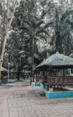 Туры в отель Lisland Rainforest Resort