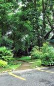 Туры в отель Lisland Rainforest Resort