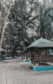 Туры в отель Lisland Rainforest Resort