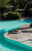 Туры в отель Lisland Rainforest Resort