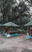 Туры в отель Lisland Rainforest Resort