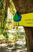 Туры в отель Lisland Rainforest Resort