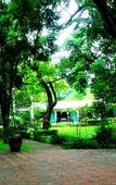 Туры в отель Lisland Rainforest Resort