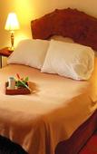 Туры в отель Lisland Rainforest Resort