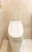 Туры в отель Toyoko Inn Shiki Station Higashi