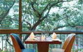 Туры в отель Rosefinch Sarovar Portico Bhimtal