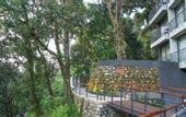 Туры в отель Rosefinch Sarovar Portico Bhimtal