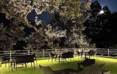 Туры в отель Rosefinch Sarovar Portico Bhimtal