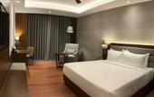 Туры в отель Rosefinch Sarovar Portico Bhimtal