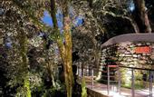 Туры в отель Rosefinch Sarovar Portico Bhimtal