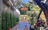 Туры в отель Rosefinch Sarovar Portico Bhimtal