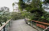 Туры в отель Rosefinch Sarovar Portico Bhimtal