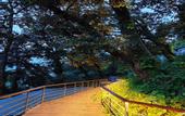 Туры в отель Rosefinch Sarovar Portico Bhimtal