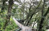 Туры в отель Rosefinch Sarovar Portico Bhimtal