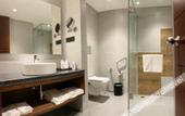 Туры в отель Rosefinch Sarovar Portico Bhimtal