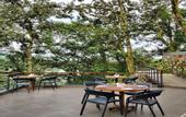 Туры в отель Rosefinch Sarovar Portico Bhimtal