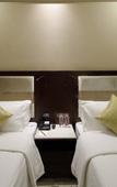 Туры в отель Regenta Inn Ranip Ahmedabad