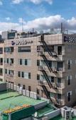 Туры в отель Brosis Hotel