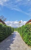 Туры в отель De VeraNiO Resort