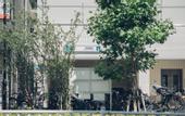 Туры в отель DOMO Hotel