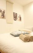 Туры в отель DOMO Hotel