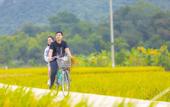 Туры в отель Mai Chau Mountain View Resort