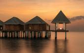 Туры в отель Anantara Dhigu Resort & Spa Maldives