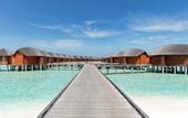 Туры в отель Anantara Dhigu Resort & Spa Maldives