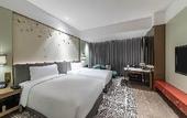 Туры в отель HUALUXE Hotels and Resorts XI'AN CHANBA