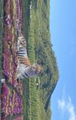 Туры в отель Holiday Inn Express XINING RAILWAY STATION by IHG