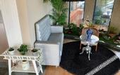 Туры в отель Hotel Pensua Punta del Este