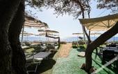 Туры в отель Marenea Suite Hotel - CDSHotels