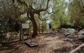 Туры в отель Marenea Suite Hotel - CDSHotels