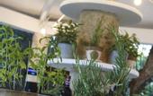Туры в отель Marenea Suite Hotel - CDSHotels