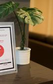 Туры в отель Residence Hotel Stripe Sapporo