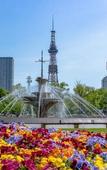 Туры в отель Residence Hotel Stripe Sapporo